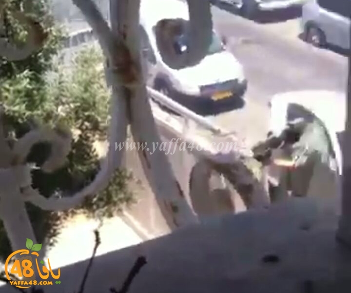 modahaman3j (13).jpg